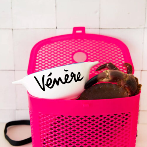 Bol breton - Vénère