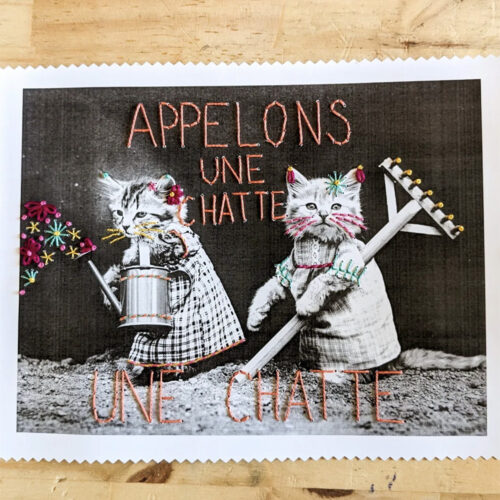 Kit broderie papier - Appelons une chatte