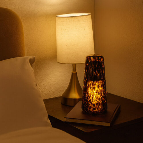 Service de nuit léopard