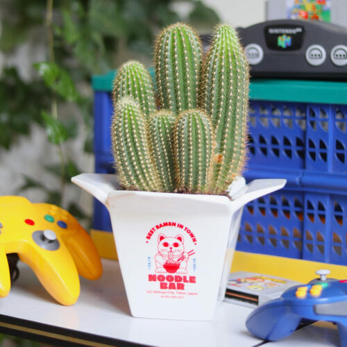 Vase ramen