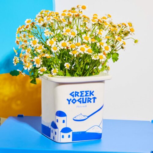Vase yaourt grec