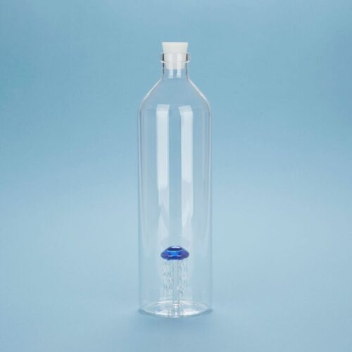 Bouteille en verre - Méduse